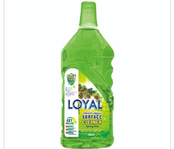 Loyal Surface Cleaner Spring Time 800 Ml Green - Zoom Image