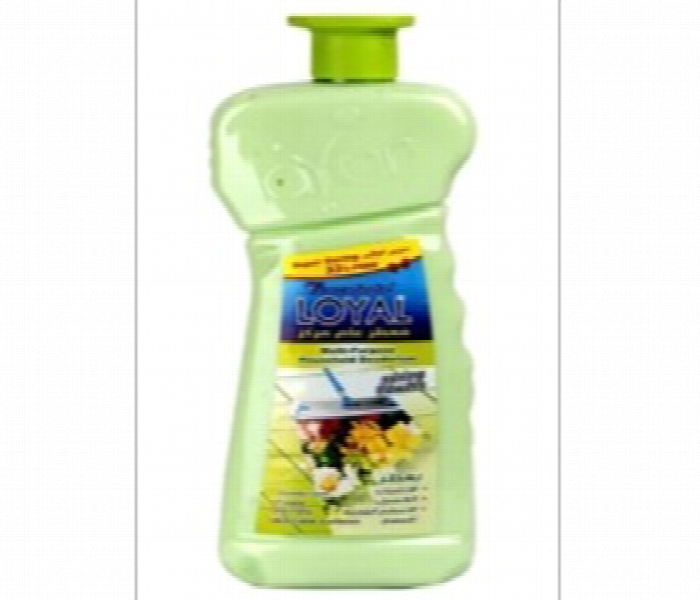 Loyal Concentrated Multipurpose Household Deodorizer Spring Flowers 2100 Ml Green - Zoom Image