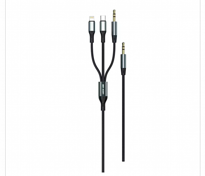 Green Lion 3 In 1 Aux Cable  Aux Or Lightning Or Usb C  1M  Black - Zoom Image 1