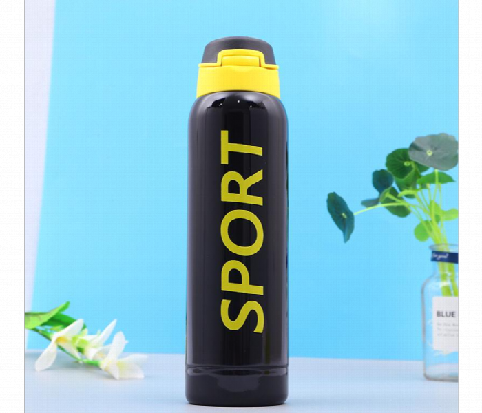 None Double Walled Vacuum Insulated Stainless Steel 500Ml Water Bottle
