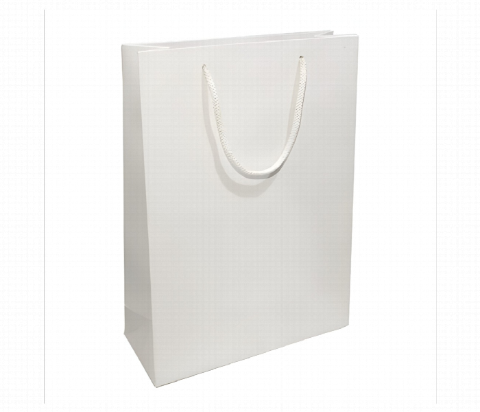 Medium Sized Stylish Paper Gift Bag Pink - Zoom Image 1