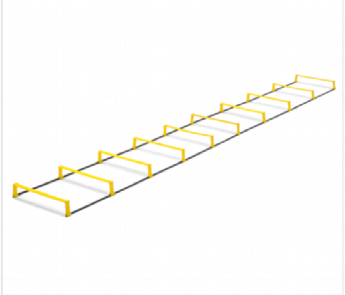 Ladder Graphic 10 Rungs Buy The 10 Rung Hurdle Ladder Ind7158659 Price in Qatar, Doha