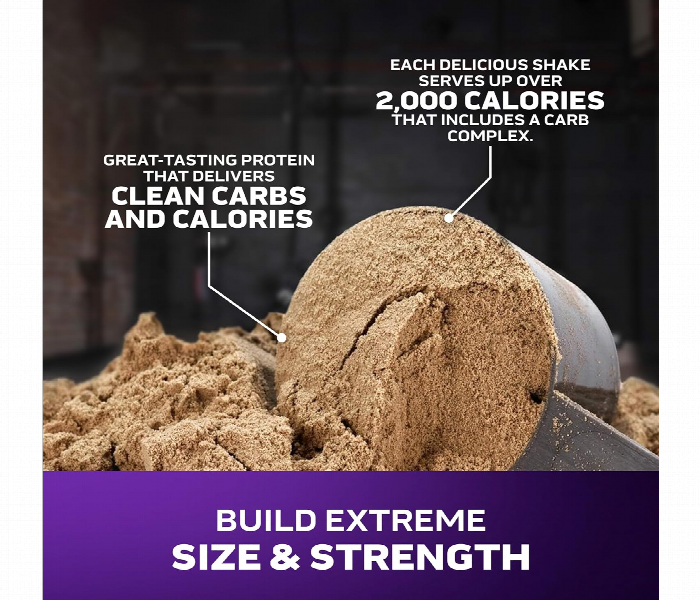 Muscletech Masstech Extreme 2000 6 Lbs Vanilla - Zoom Image 3