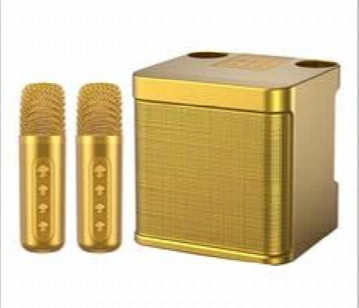 Ys203 Double Microphone Karaoke Speaker System - Zoom Image 2