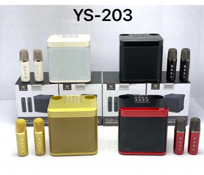 Ys203 Double Microphone Karaoke Speaker System - Zoom Image 6