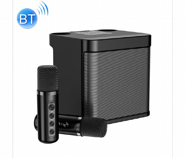 Ys203 Double Microphone Karaoke Speaker System - Zoom Image 5