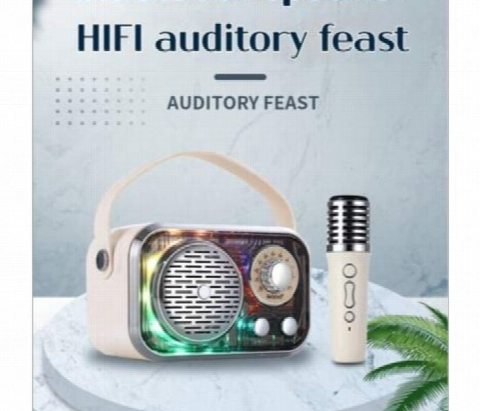 Sodo Sd10 Wireless Karaoke Speaker Kit Bluetooth Audio - Zoom Image 2