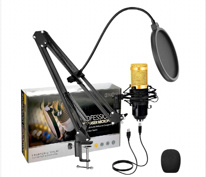 Professional Studio Condenser Microphone Crystal Clear Vocal - Zoom Image 4