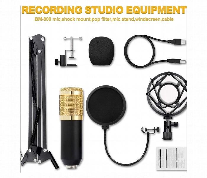 Professional Studio Condenser Microphone Crystal Clear Vocal - Zoom Image 2