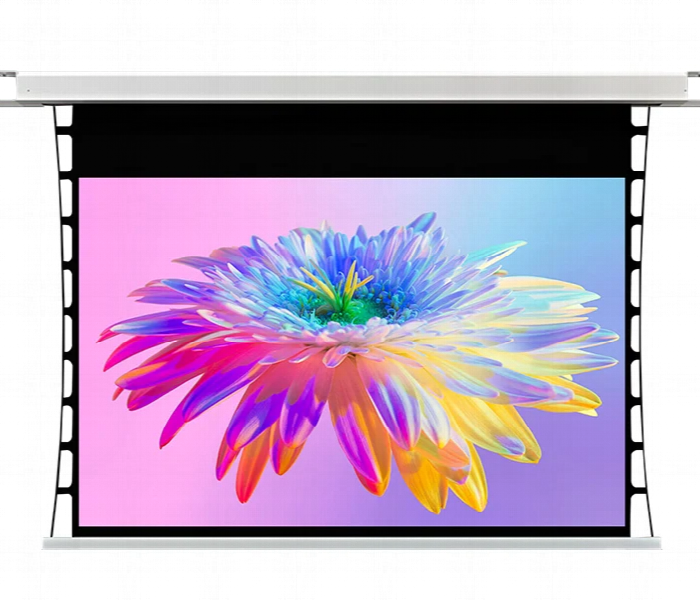 Lx650M 150Inch In Ceiling Motorized Projector Screen - Zoom Image